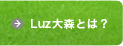 Luz大森とは